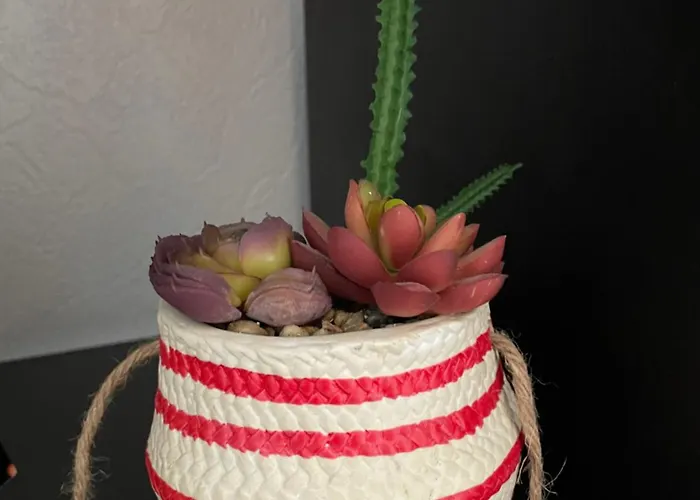 Calme + Stationnement *